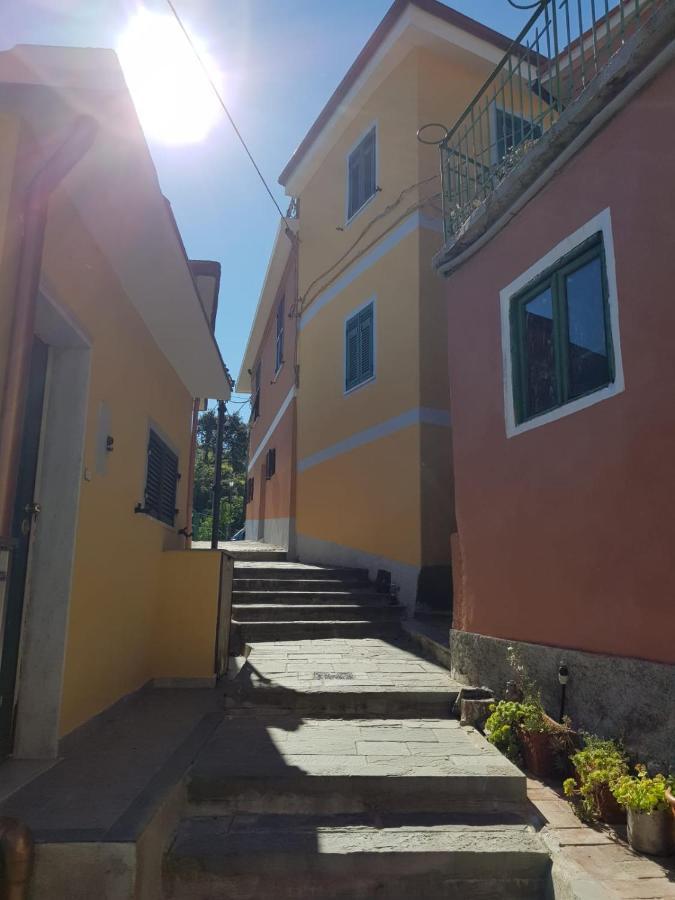 Vitis Vitae Vernazza, San Bernardino 5 Terre 外观 照片